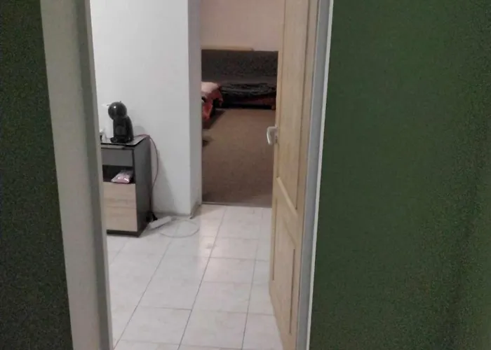 Privata Cu Baie Tina, Iulius Mall Pensionat