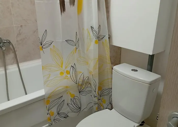 Pensionat Privata Cu Baie Tina, Iulius Mall 3*